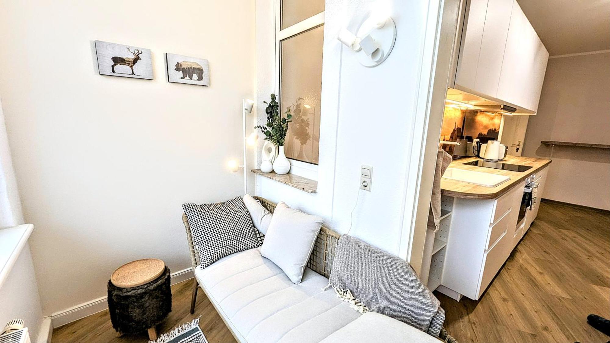 Meissen Apartments - Moderne Ferienwohnungen In Meissen Am Lutherplatz Eksteriør billede